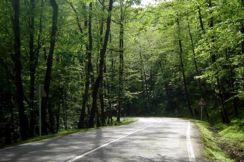 بررسي عوامل موثر در طراحي جاده هاي جنگلي با استفاده از سيستم اطلاعات جغرافيايي (GIS)