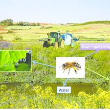 مدل شايستگي مرتع از جنبه زنبورداري با استفاده از GIS (مطالعه موردي: مراتع طالقان مياني)