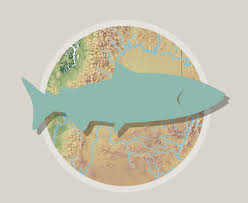 مکان یابی پرورش ماهیان سردآبی با استفاده از سامانه اطلاعات جغرافیایی (GIS) در استان گلستان