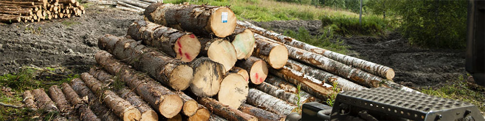 مکان يابي واحدهاي صنايع چوب در استان خوزستان به روش فرآيند تحليل شبکه اي (ANP) در محيط GIS