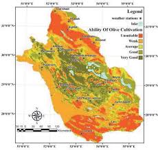 امکان سنجي کشت زيتون بر اساس عوامل محيطي با استفاده از GIS در شهرستان بوير احمد