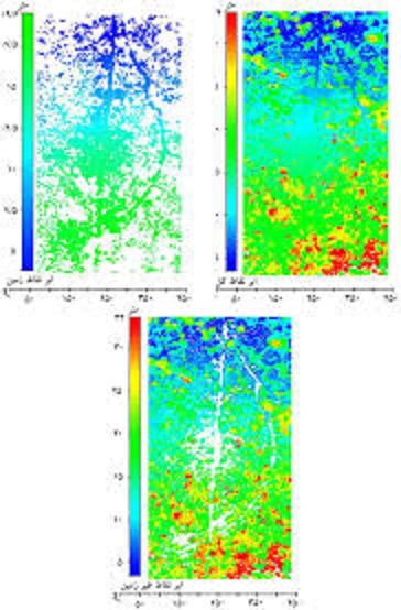 استفاده از مدل ارتفاعی تاج استخراج‌شده از تصاویر پهپاد برای برآورد ارتفاع درختان در جنگل سیسنگان