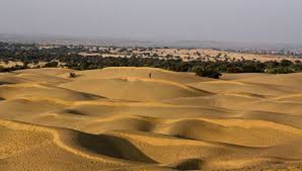 استفاده از معيار وضعيت پوشش گياهي و مديريت اراضي جهت ارزيابي بيابان زايي با استفاده از سيستم اطلاعات جغرافيايي (GIS)