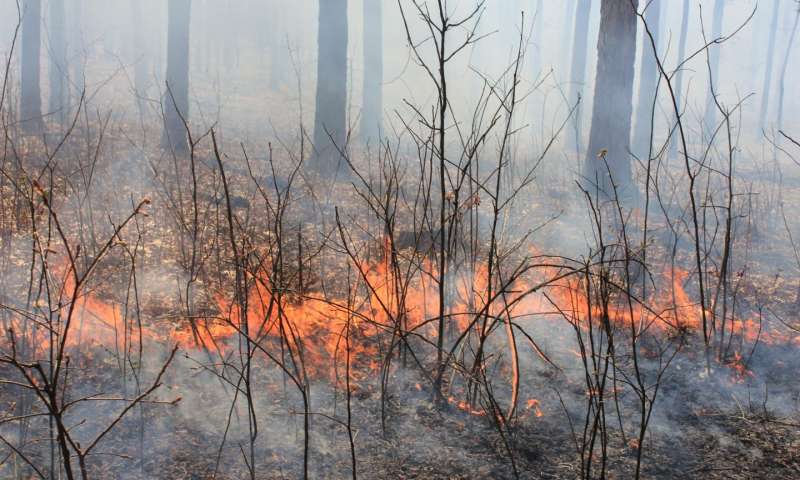 اثر مديريت جنگل روي آتش سوزي جنگل هاي استان گلستان در سال 1389 با استفاده از GIS