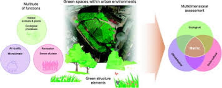 تحليل و اولويت بندي فضاي سبز شهري با بهره گيري از تکنيک هاي TOPSIS و GIS (مطالعه موردي: شهر دهگلان)
