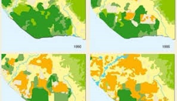 لایه شیپ فایل جزیره ها و دریاچه های کشور-موسسه چشم انداز هزاره سوم ملل