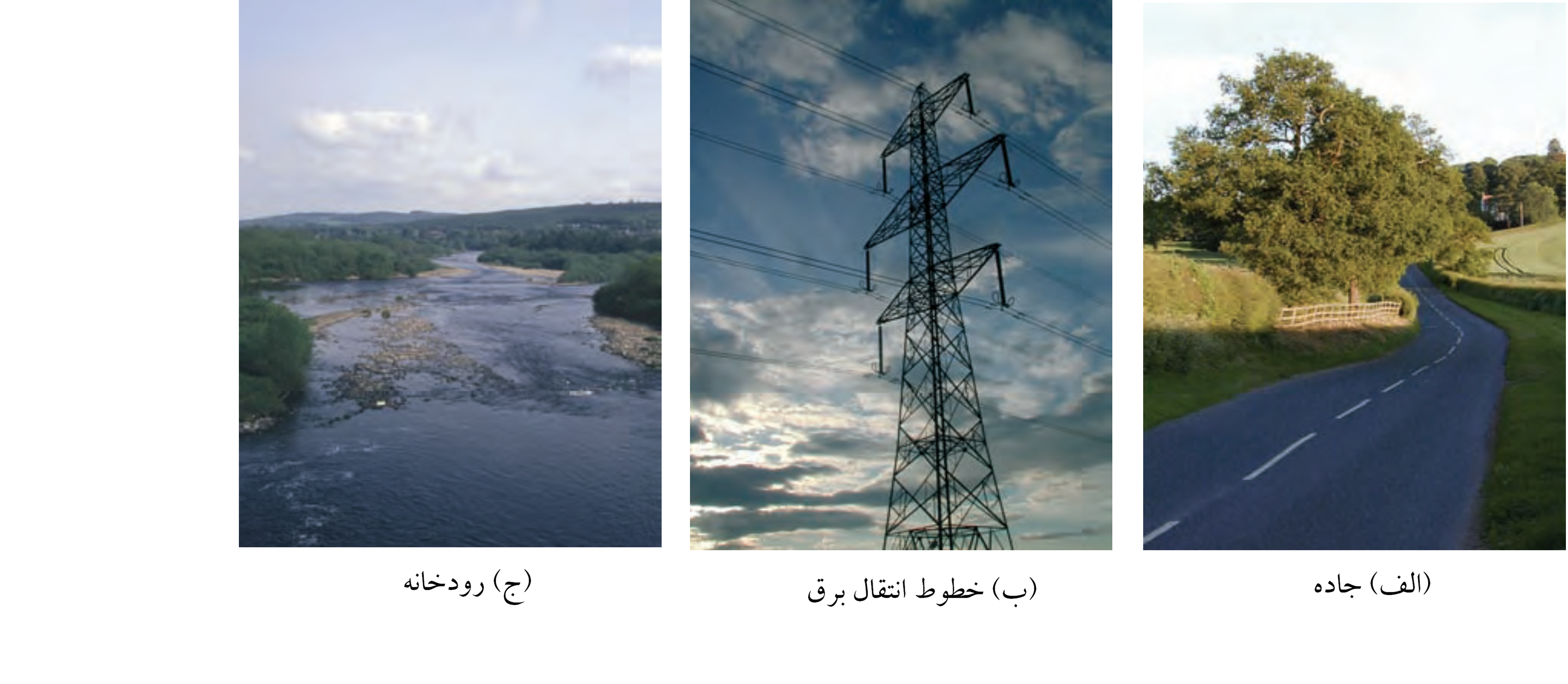 شکل 2-6: پديده¬هاي واقعي که معمولاً به صورت خطي ذخيره مي¬شوند.