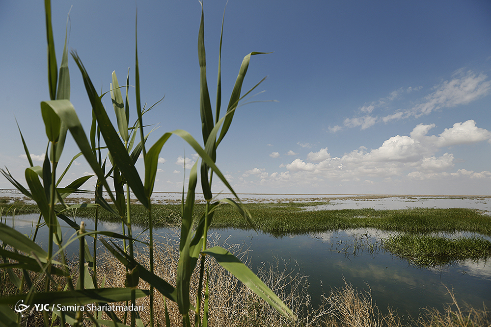 رکورد پر باران ترین سال آبی کشور