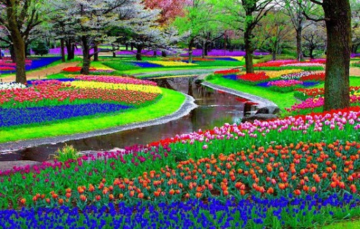 نقش فضای سبز در شادی انسان