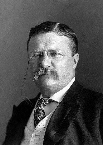330px President Roosevelt Pach Bros