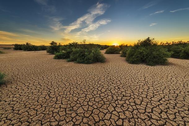 مدیریت بلای طبیعی