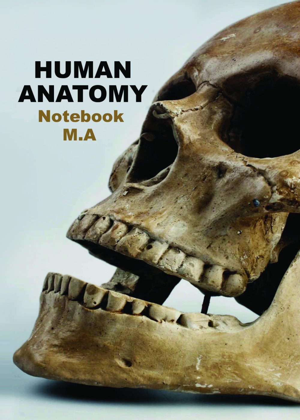 کتاب کار و دفتر اختصاصی آناتومی و فیزیولوژی انسان «هر آنچه كه لازم است درباره آناتومی و فیزیولوژی انسان بدانیم»