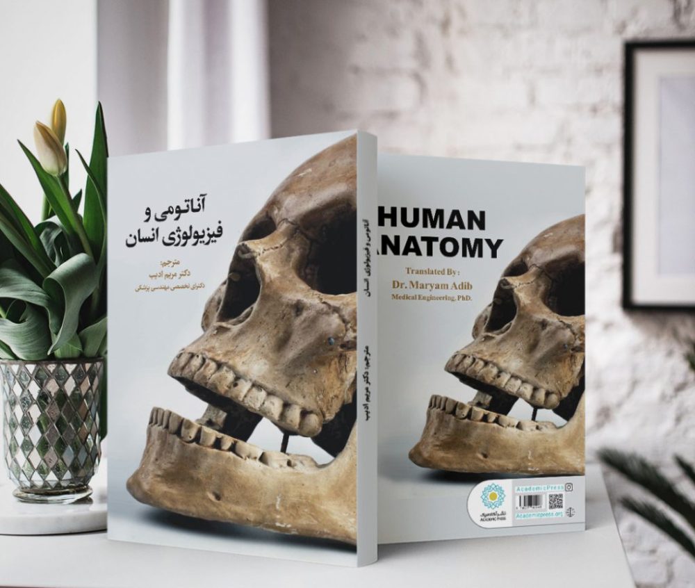 آناتومی و فیزیولوژی انسان «هر آنچه كه لازم است درباره آناتومی و فیزیولوژی انسان بدانیم» - تصویر 2